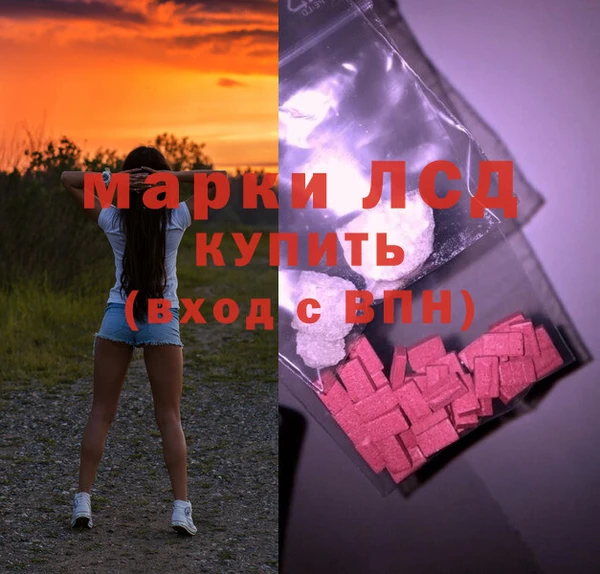 ПСИЛОЦИБИНОВЫЕ ГРИБЫ Коряжма
