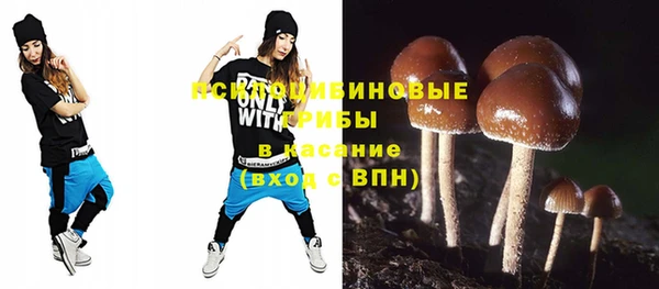 ПСИЛОЦИБИНОВЫЕ ГРИБЫ Коряжма