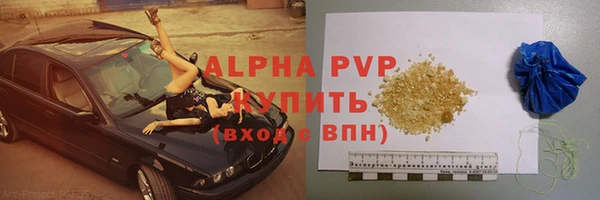 ПСИЛОЦИБИНОВЫЕ ГРИБЫ Коряжма