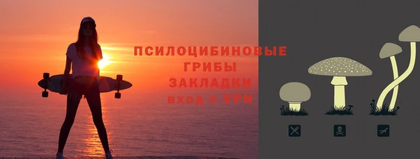 прущий лед Корсаков
