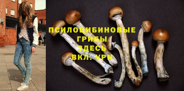 соль ск Костерёво