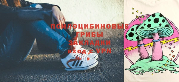 соль ск Костерёво