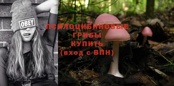 прущий лед Корсаков