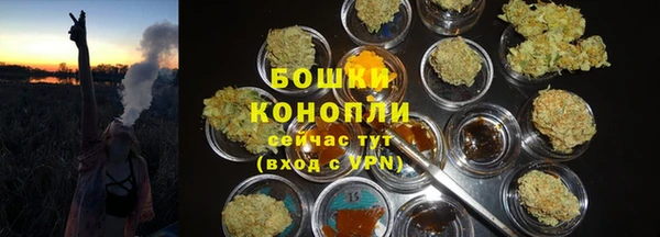 ПСИЛОЦИБИНОВЫЕ ГРИБЫ Коряжма