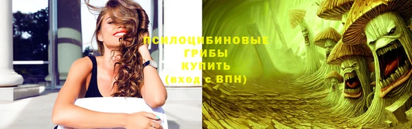 прущий лед Корсаков