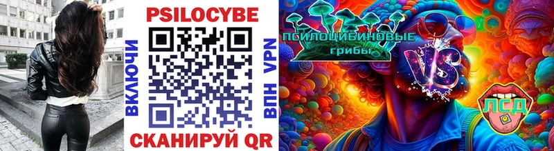 Псилоцибиновые грибы мицелий  Купить  Кирово-Чепецк 